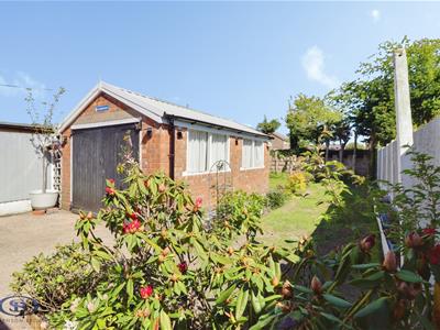 Picture 19